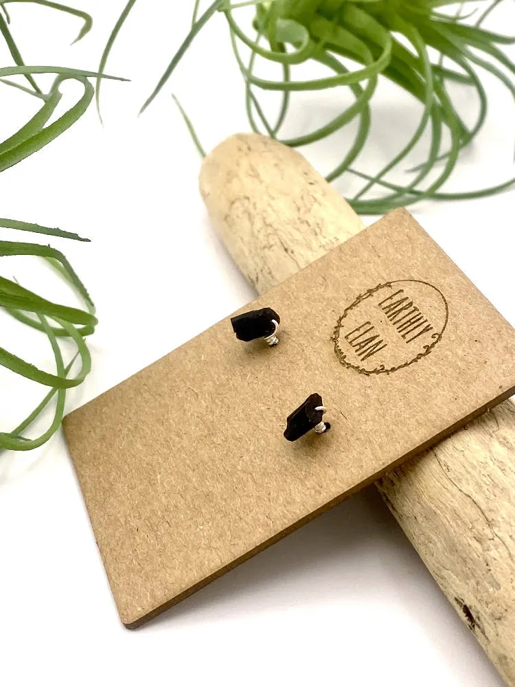 Black Tourmaline Post Earrings