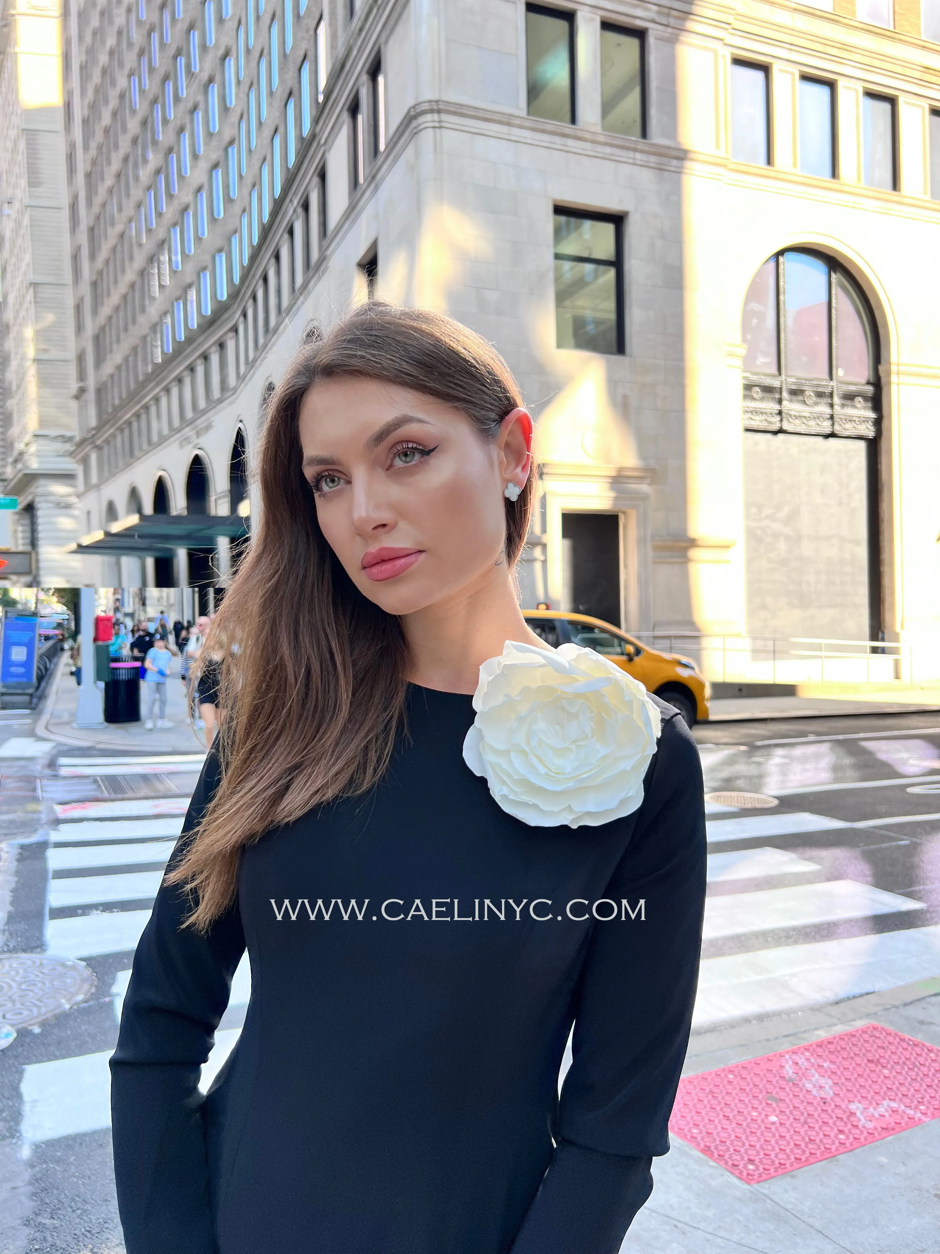 CaeliNYC Dorothea A-line Long Sleeve Dress with Flower Applique
