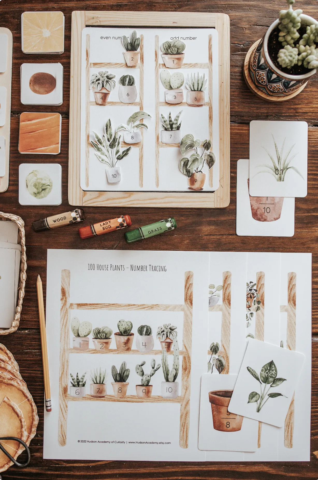 Homesteading & Sustainable Living Patchwork Study