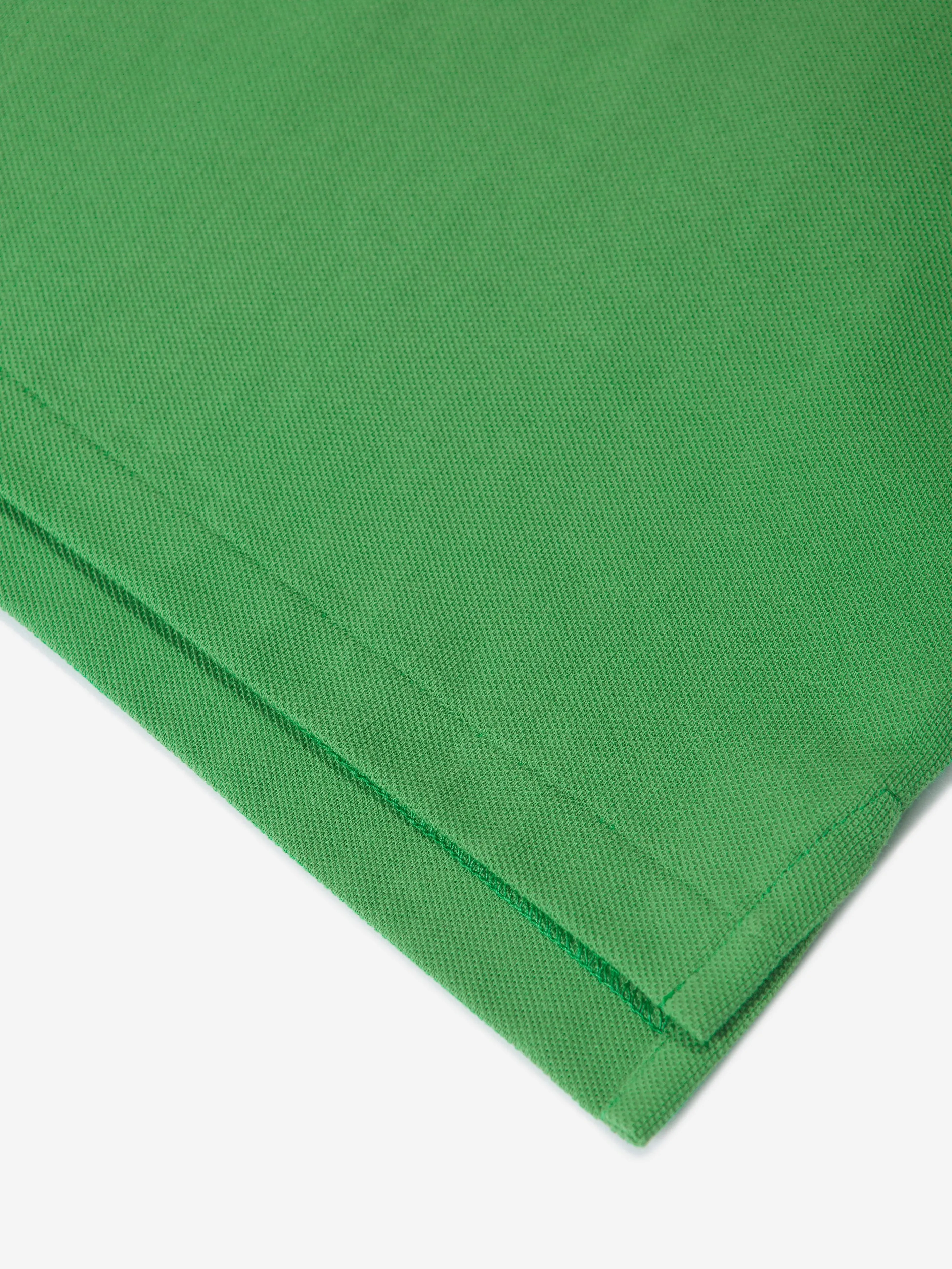 Ralph Lauren Boys Logo Polo Shirt in Green