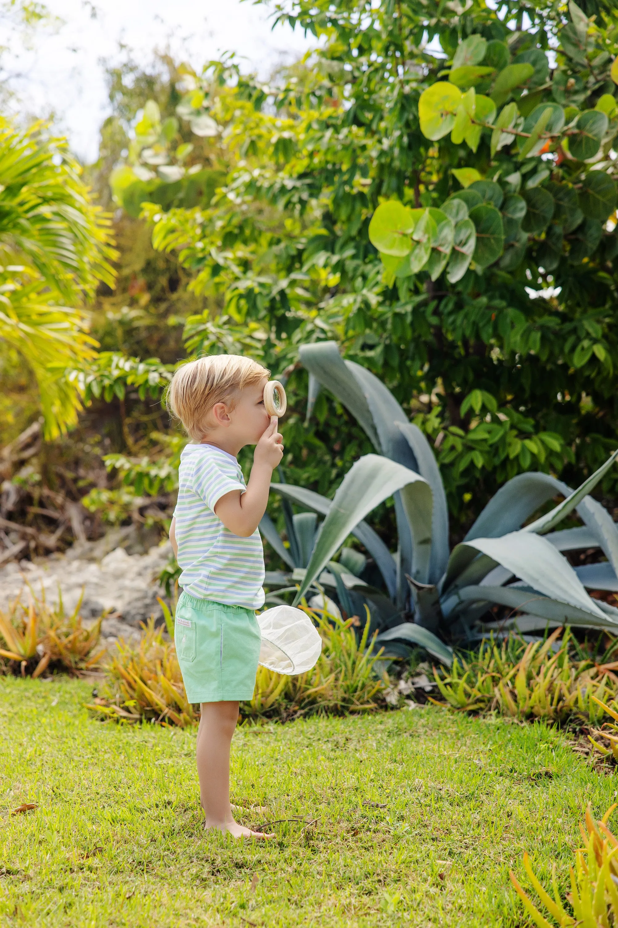 Sheffield Shorts - Grace Bay Green with Saratoga Stone Stork
