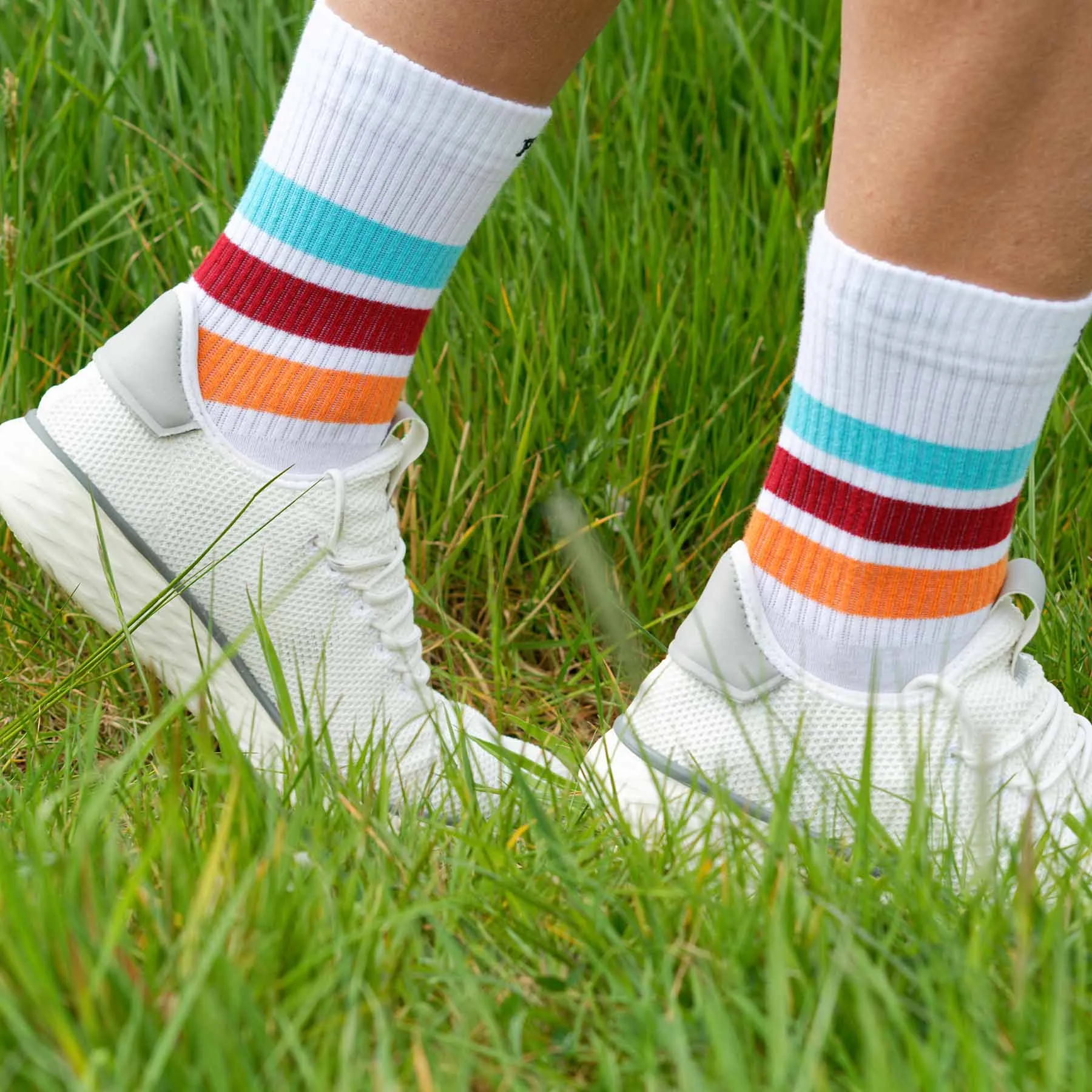 Striped Men's Organic Cotton Trainer Socks | White