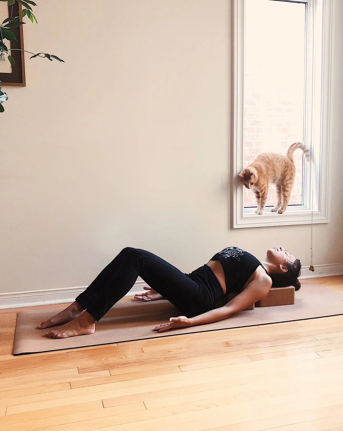 Sustainable Yoga Cork Blocks- Natural Fitness Cork